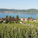 Segelwind