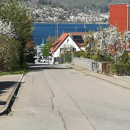 Segelwind * Bodman-Ludwigshafen