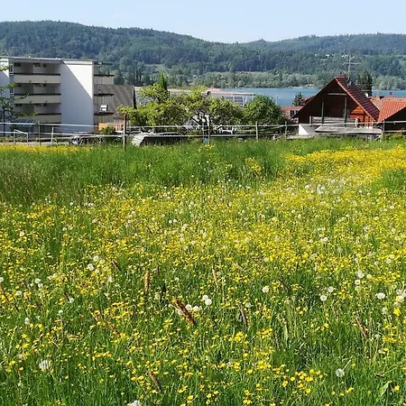 Lägenhet Segelwind Bodman-Ludwigshafen