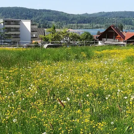 Apartament Segelwind Bodman-Ludwigshafen