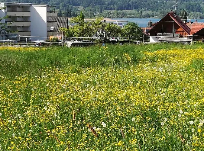 Appartement Segelwind Bodman-Ludwigshafen